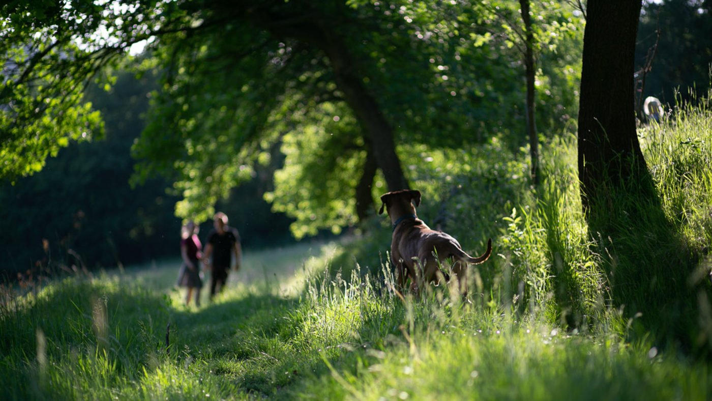 Jak ważna jest adresówka? Jak ważna jest adresówka?