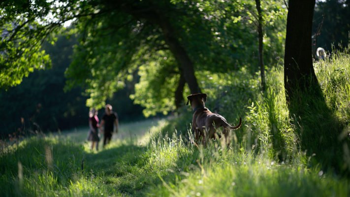 Jak ważna jest adresówka?
