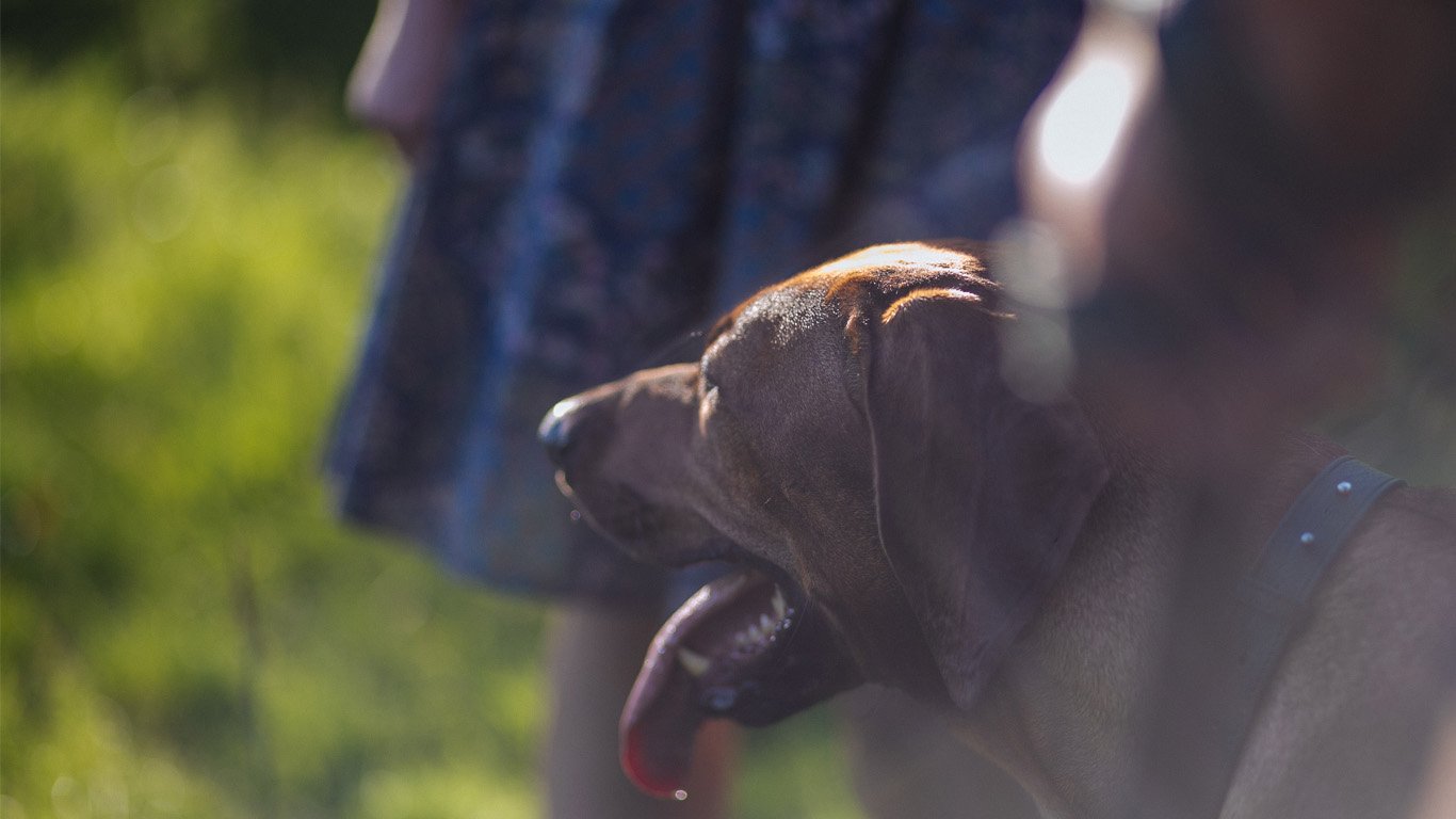 Historia Mai Historia Mai