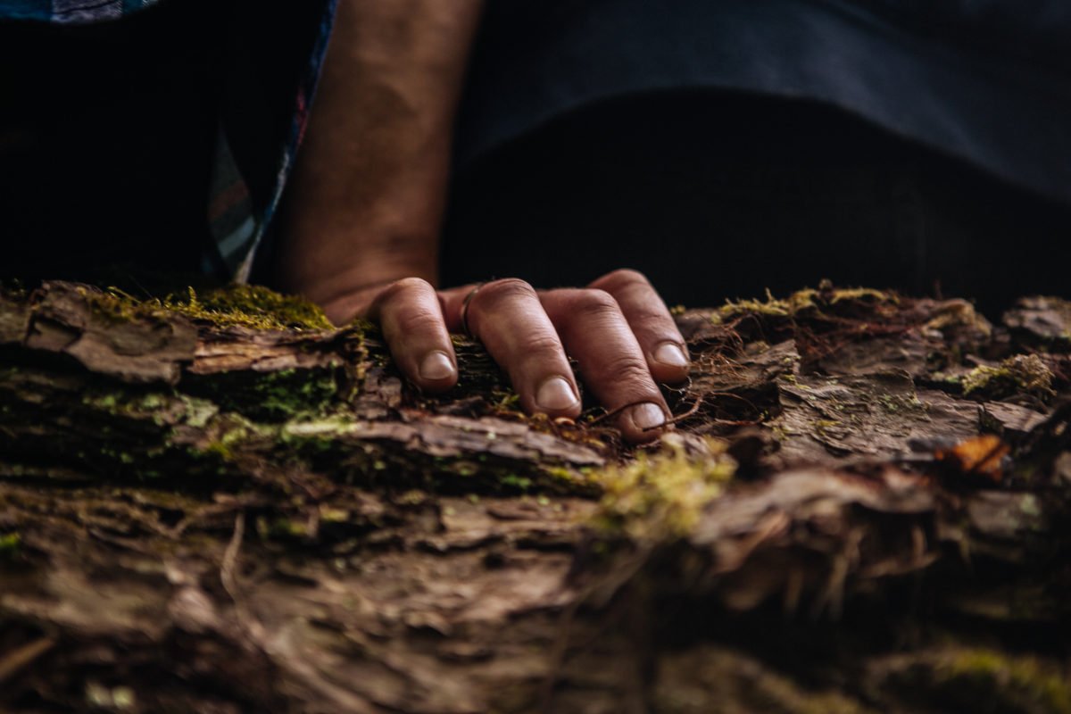 Historia Maćka Historia Maćka
