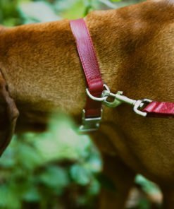 Smycz skórzana VOLCANO