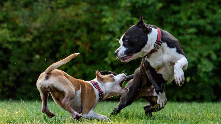 "Proszę, nie podchodź! Nie dotykaj!"
